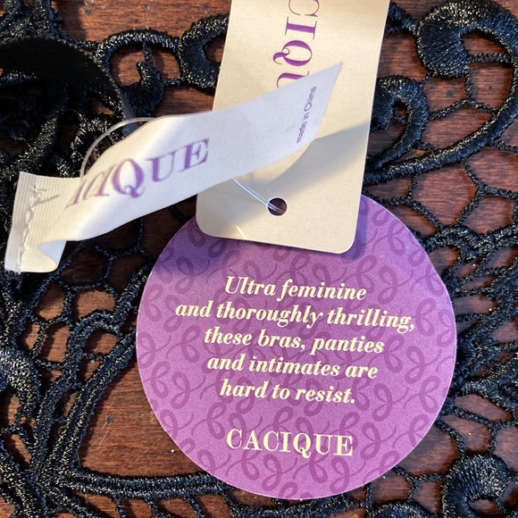 Lace Mask with Ribbon Ties - Picture 4 of 4